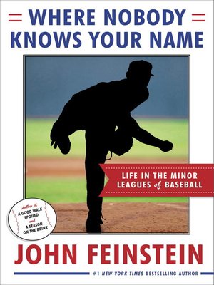 cover image of Where Nobody Knows Your Name
